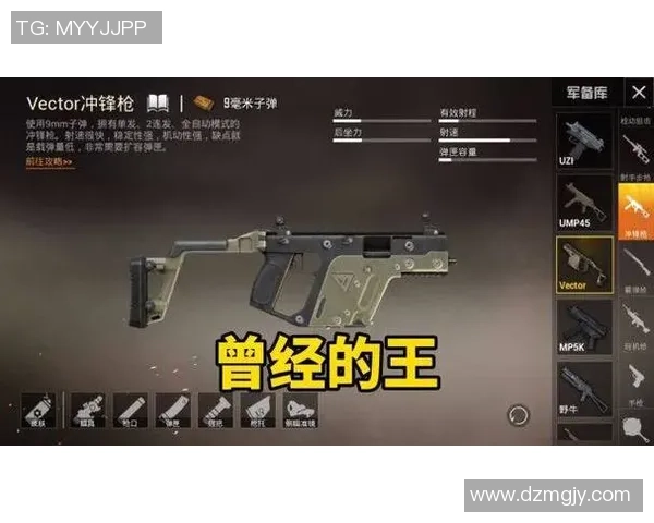 和平精英耐力排行榜最新更新LNG战队荣登第七位引发关注