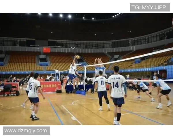 排球盛宴：深入解析杭州排球队的战术布局与训练秘诀